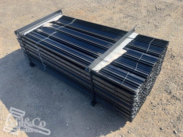 Set of 400 1665mm Star Pickets